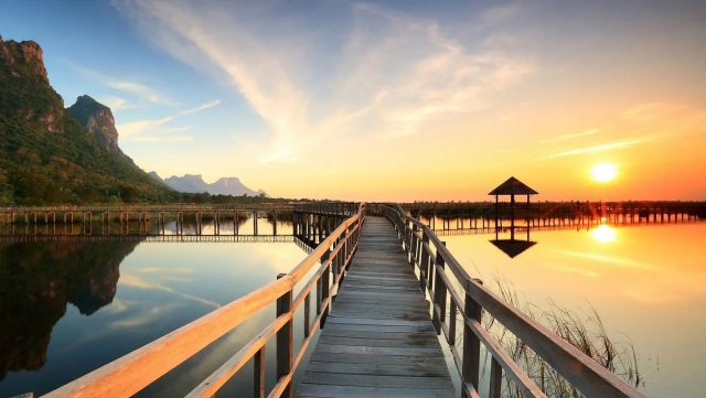 室内健身最好的运动方式